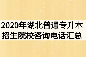 2020年湖北普通专升本招生院校咨询电话汇总