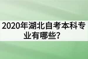 2020年湖北自考本科专业有哪些？哪些专业的就业前景好