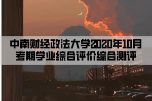 中南财经政法大学2020年10月考期学业综合评价综合测评