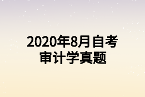 2020年8月自考审计学真题