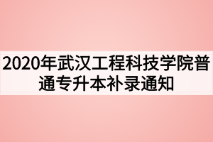 2020年武汉工程科技学院普通专升本补录通知