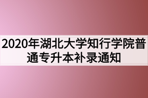 2020年湖北大学知行学院普通专升本补录通知