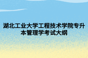 湖北工业大学工程技术学院专升本管理学考试大纲