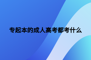 专起本的成人高考都考什么