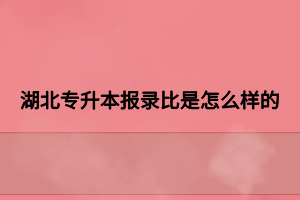 湖北专升本报录比是怎么样的