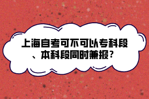 上海自考可不可以专科段、本科段同时兼报？