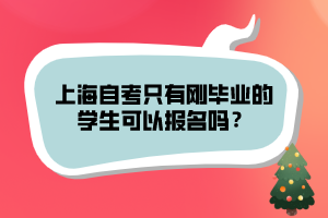 上海自考只有刚毕业的学生可以报名吗？