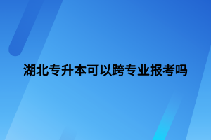 湖北专升本可以跨专业报考吗