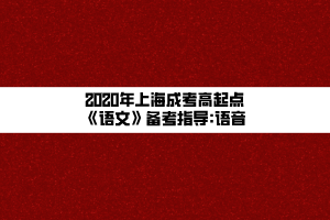 2020年上海成考高起点《语文》备考指导_语音