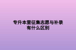 专升本里征集志愿与补录有什么区别