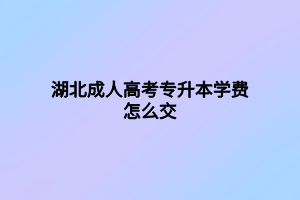 湖北成人高考专升本学费怎么交