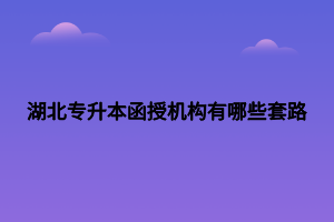 湖北专升本函授机构有哪些套路