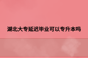 湖北大专延迟毕业可以专升本吗