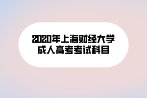 2020年上海财经大学成人高考考试科目