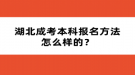 湖北成考本科报名方法怎么样的？