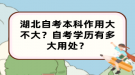 湖北自考本科作用大不大？自考学历有多大用处？