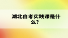 湖北自考实践课是什么？