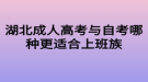 湖北成人高考与自考哪种更适合上班族