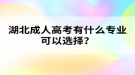 湖北成人高考有什么专业可以选择？