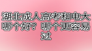 湖北成人高考和电大哪个好？哪个更容易过