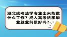 湖北成考法学专业出来能做什么工作？成人高考法学毕业就业前景好吗？