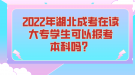 2022年湖北成考在读大专学生可以报考本科吗？