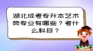 湖北成考专升本艺术类专业有哪些？考什么科目？