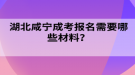 湖北咸宁成考报名需要哪些材料？