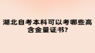 湖北自考本科可以考哪些高含金量证书?