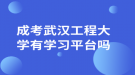 成考武汉工程大学有学习平台吗