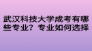 武汉科技大学成考有哪些专业？专业如何选择