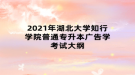 2021年湖北大学知行学院普通专升本广告学考试大纲