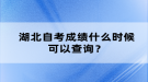 湖北自考成绩什么时候可以查询？