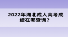 2022年成湖北成人高考绩在哪查询？