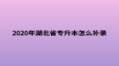 2020年湖北省专升本怎么补录