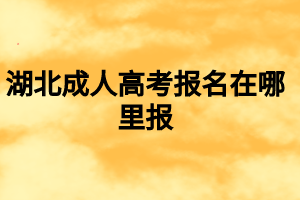 湖北成人高考报名在哪里报