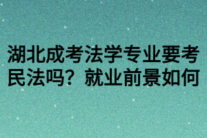 湖北成考法学专业要考民法吗？就业前景如何