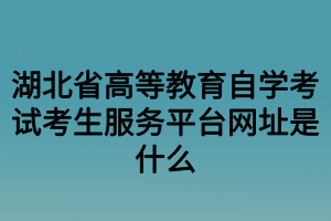 湖北省高等教育自学考试考生服务平台网址是什么