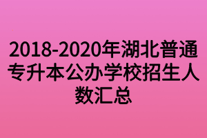 2018-2020年湖北普通专升本公办学校招生人数汇总