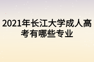 2021年长江大学成人高考有哪些专业