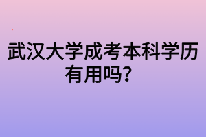 武汉大学成考本科学历有用吗？