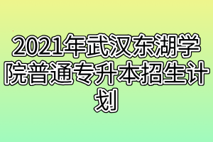 2021年武汉东湖学院普通专升本招生计划