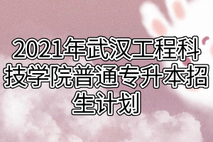 2021年武汉工程科技学院普通专升本招生计划