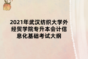 2021年武汉纺织大学外经贸学院专升本会计信息化基础考试大纲