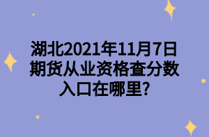 湖北2021年11月7日期货从业资格查分数入口在哪里_