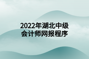 2022年湖北中级会计师网报程序