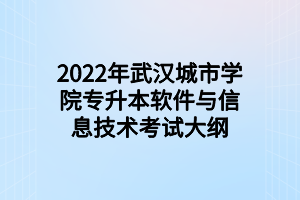 2022年武汉城市学院专升本软件与信息技术考试大纲