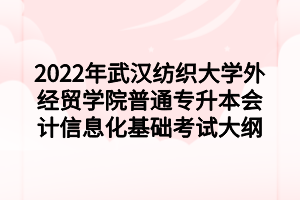 2022年武汉纺织大学外经贸学院普通专升本会计信息化基础考试大纲